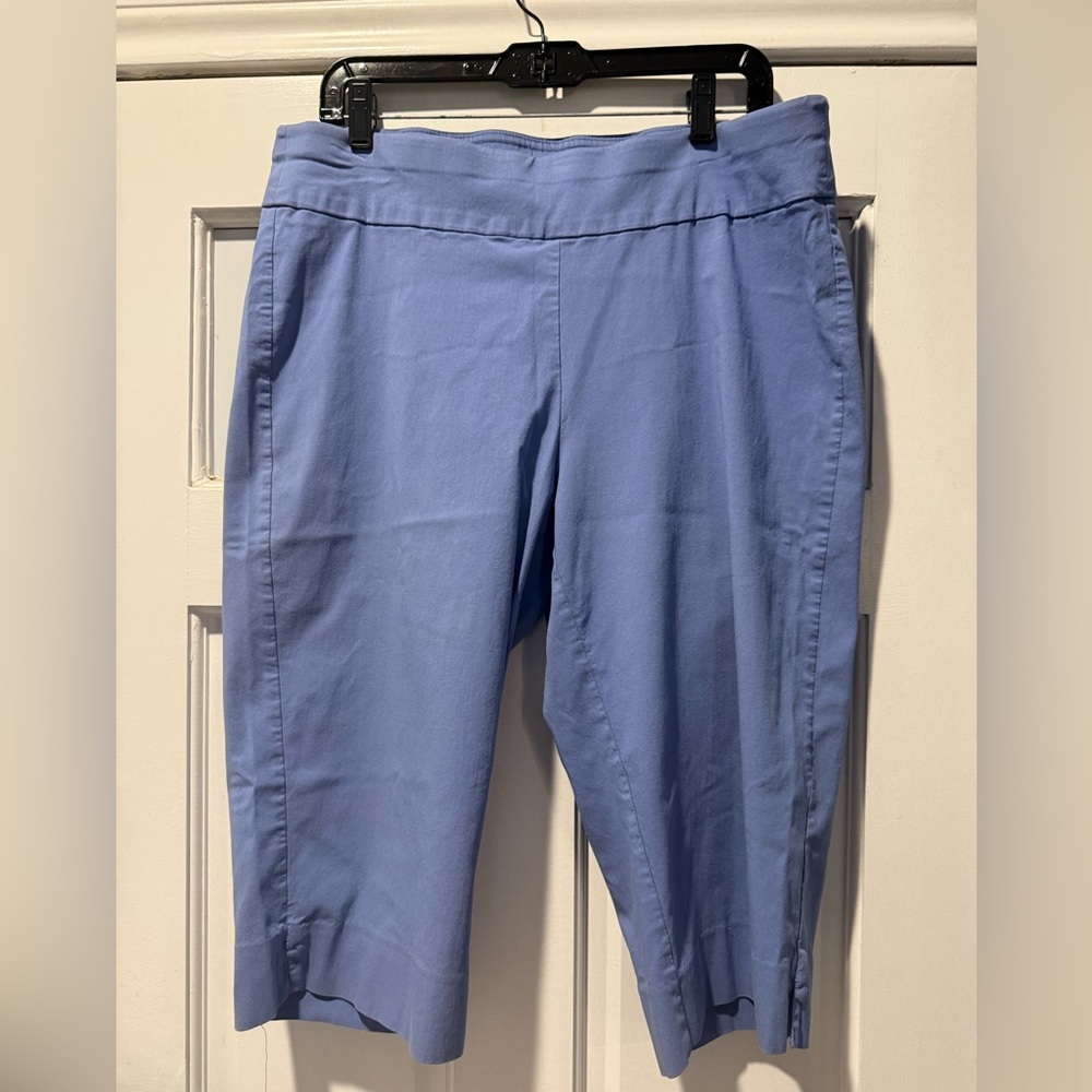 Ruby Rd. Blue Women's Pants